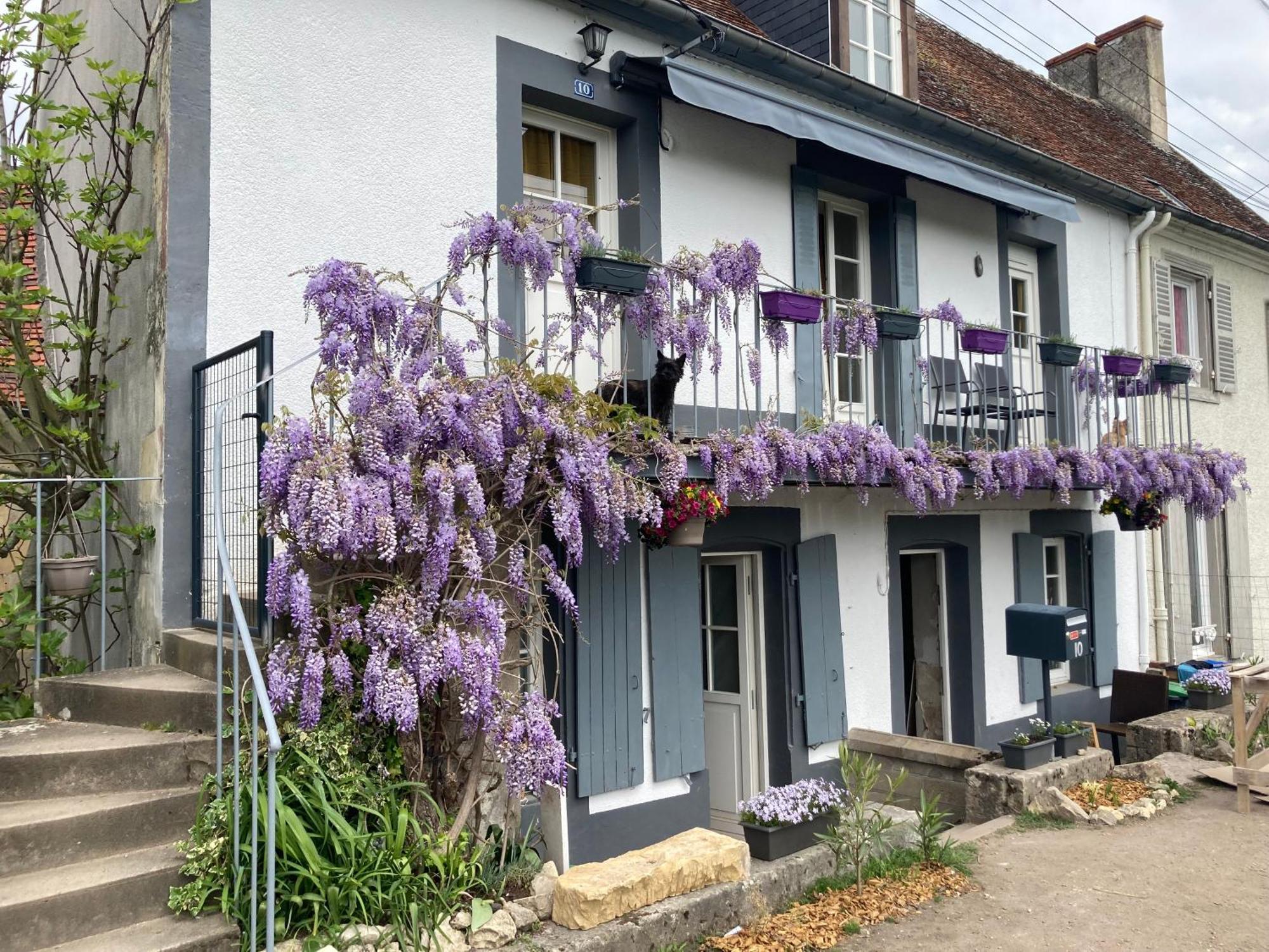 Le Lodge De Serenite Cuffy エクステリア 写真